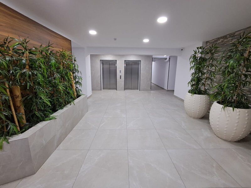 Pallady - Hils Brauner